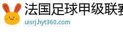 法国足球甲级联赛